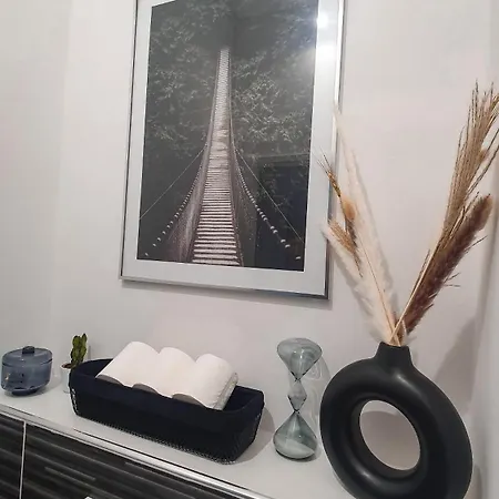 T3 A Deux Pas Du Centre-ville ヴィシー