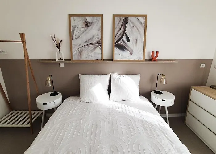 Апартаменты T3 A Deux Pas Du Centre-ville Виши